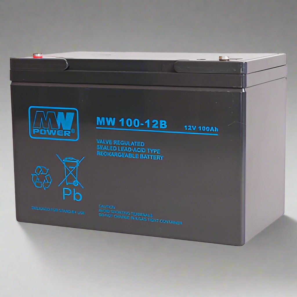 AGM battery 12V 100Ah, MW 100-12B - Eurogroup 33
