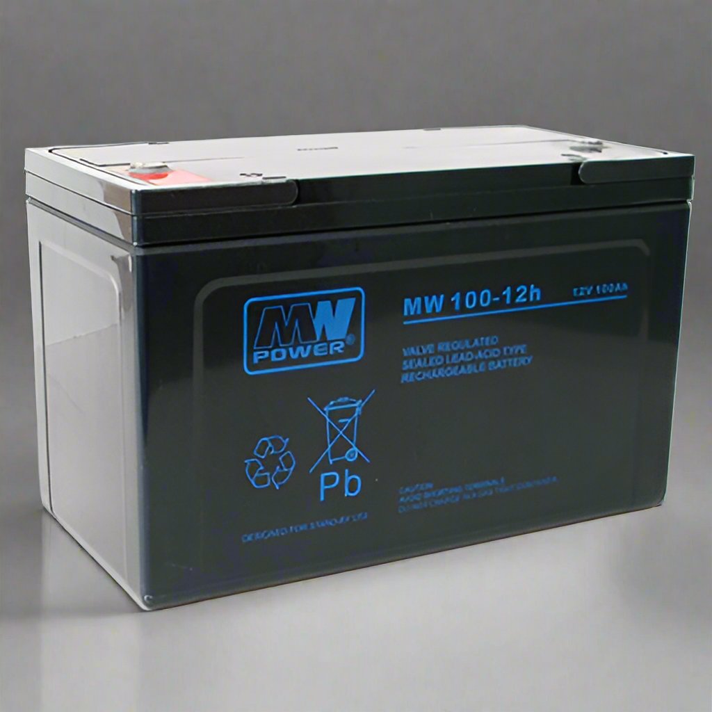 AGM battery 12V 100Ah, MW 100-12h - Eurogroup 33