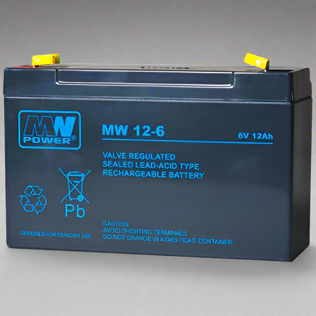 AGM battery 6V 12Ah, MW 12-6, MW 12-6L - Eurogroup 33