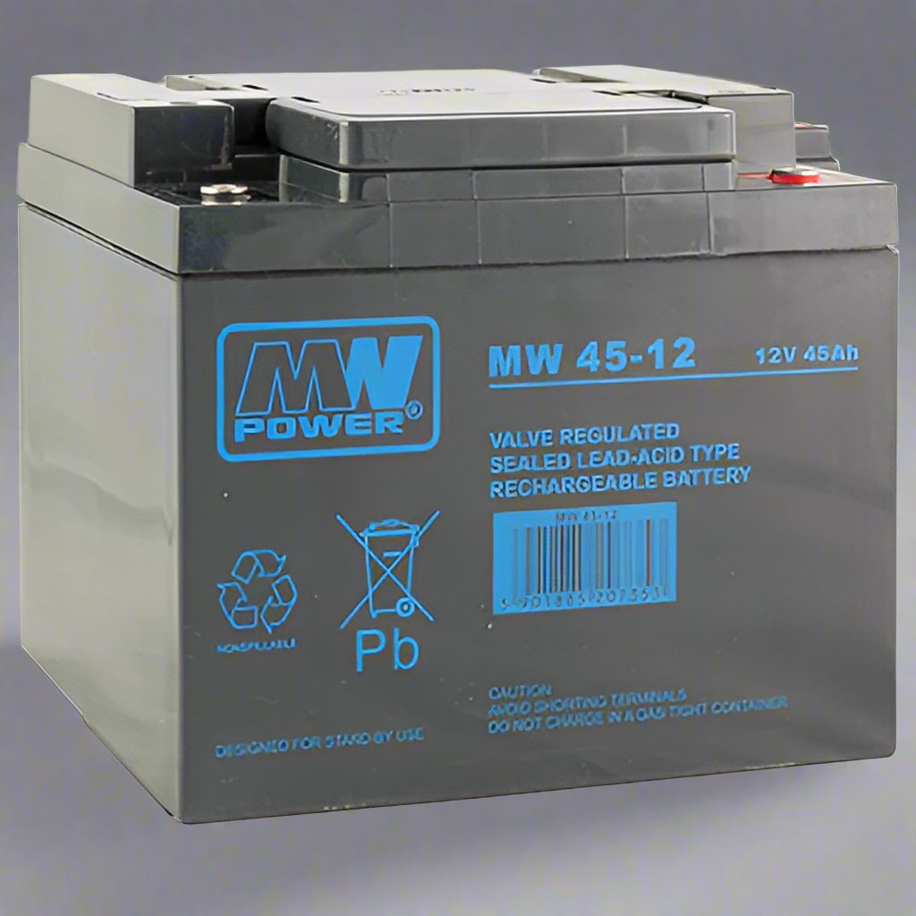 AGM battery 12V 45Ah, MW 45-12 - Eurogroup 33