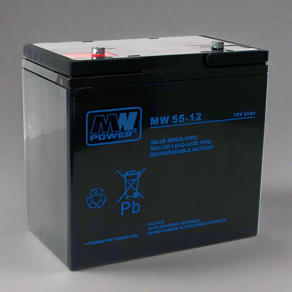 AGM battery 12V 55Ah, MW 55-12 - Eurogroup 33