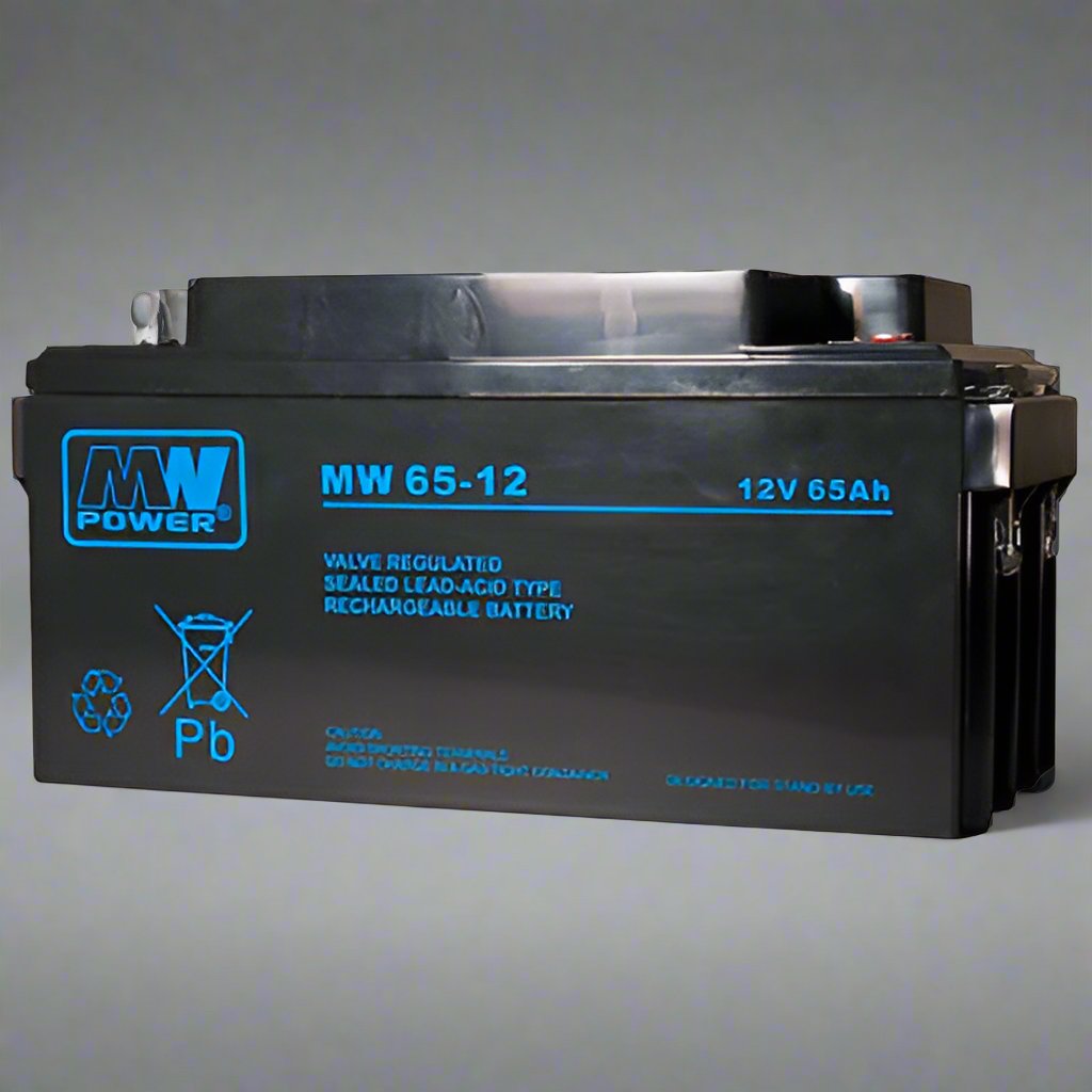 AGM battery 12V 65Ah, MW 65-12 - Eurogroup 33
