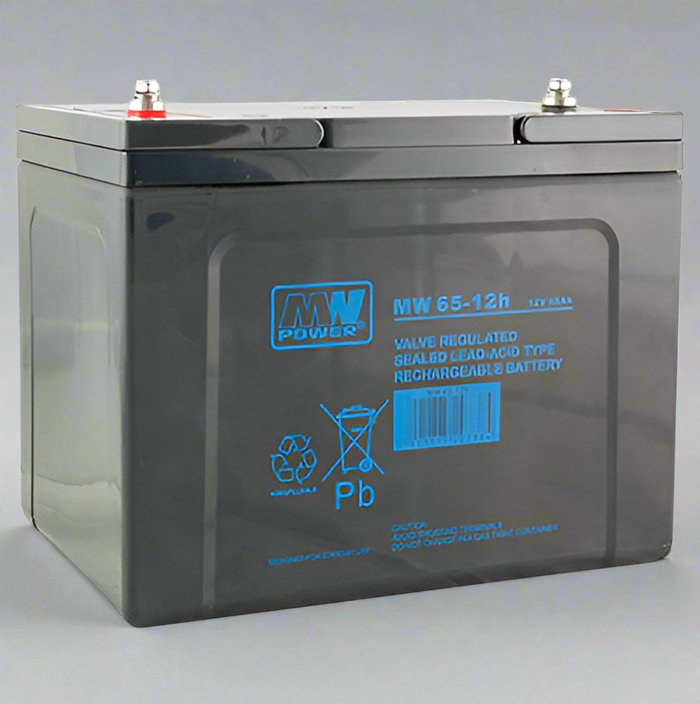 AGM battery 12V 65Ah, MW 65-12h - Eurogroup 33