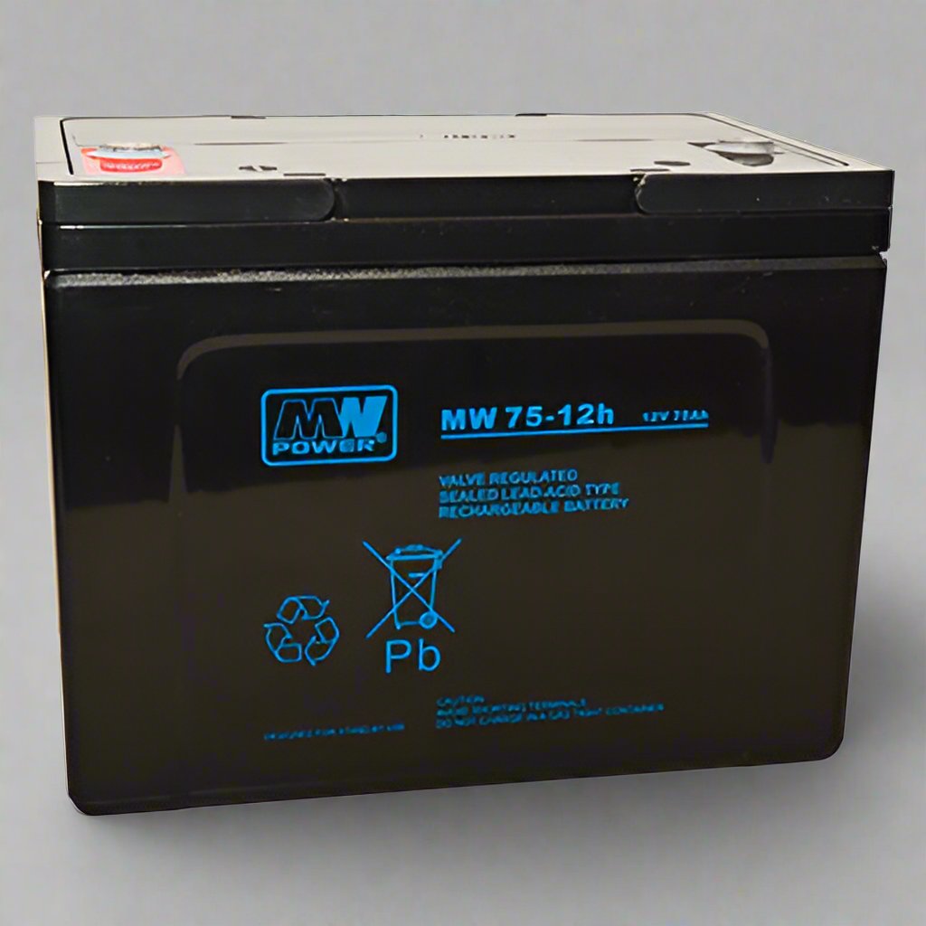 AGM battery 12V 75Ah, MW 75-12h - Eurogroup 33