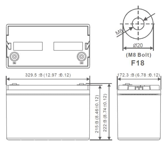 The size of AGM battery 12V 100Ah, MWP 100-12 - Eurogroup 33