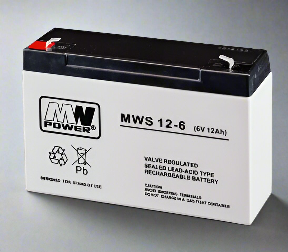 AGM battery 6V 12Ah, MWS 12-6 - Eurogroup 33