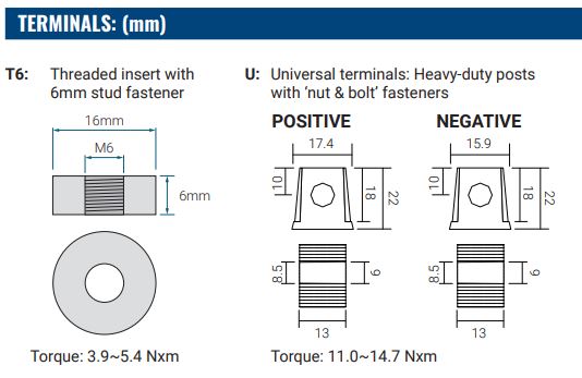 12V 100Ah, PS-121000 M6 AGM battery