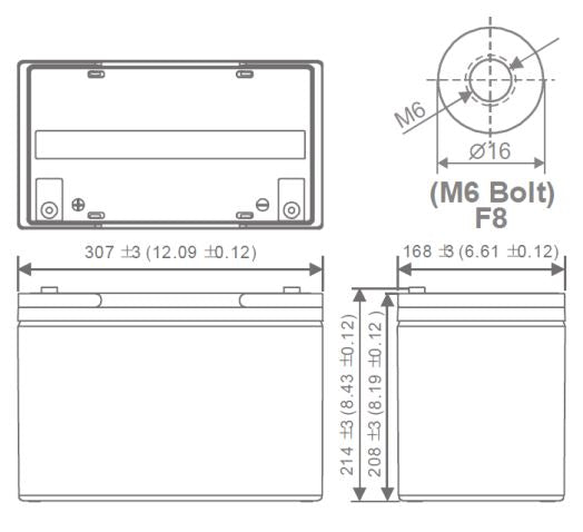 The size of AGM battery 12V 100Ah, MWP 100-12B - Eurogroup 33